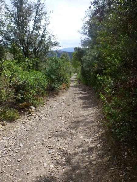 Agrandir l'image En direction du Col de la Garrigue