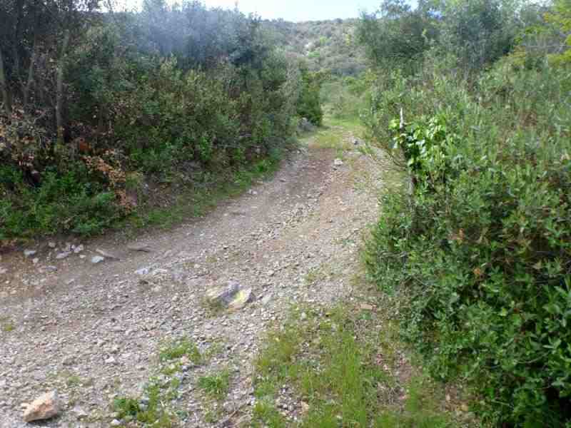 Agrandir l'image En direction du Col de la Garrigue