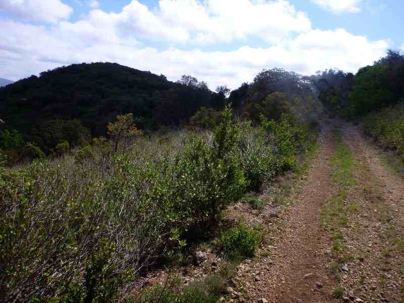 Agrandir l'image En direction du Col de la Garrigue