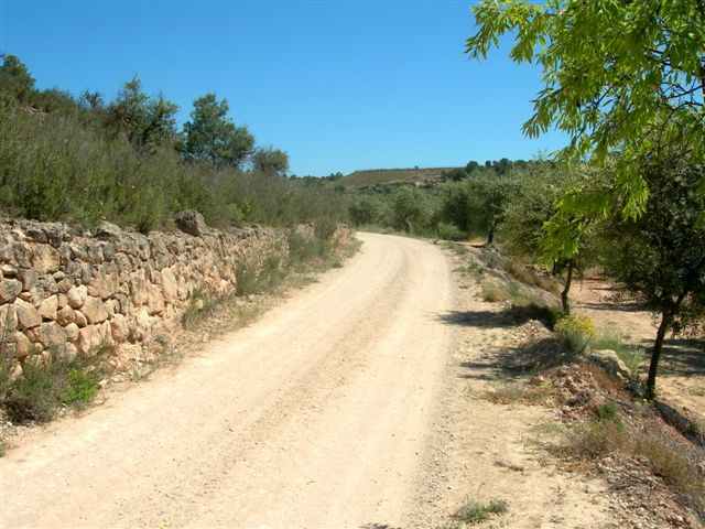 Piste prs de La Palma d'Ebre