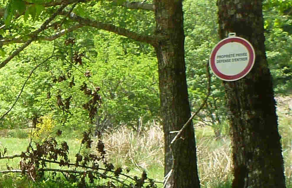 En direction du Pas de la Clède