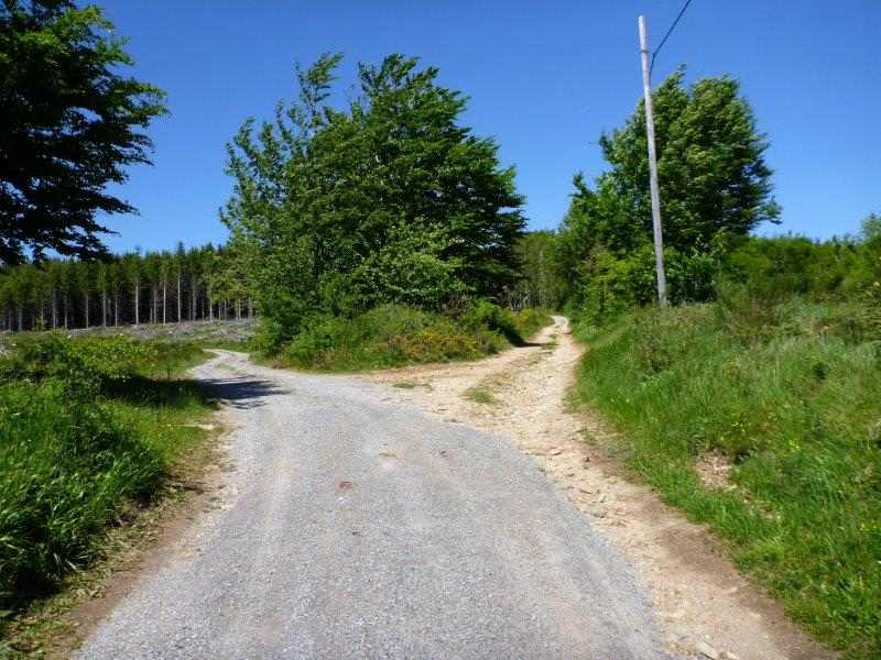 Agrandir l'image En direction du Pas de la Clède