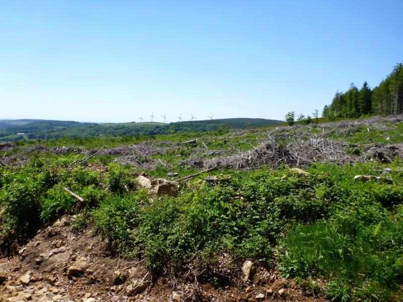 Agrandir l'image En direction du Pas de la Clède