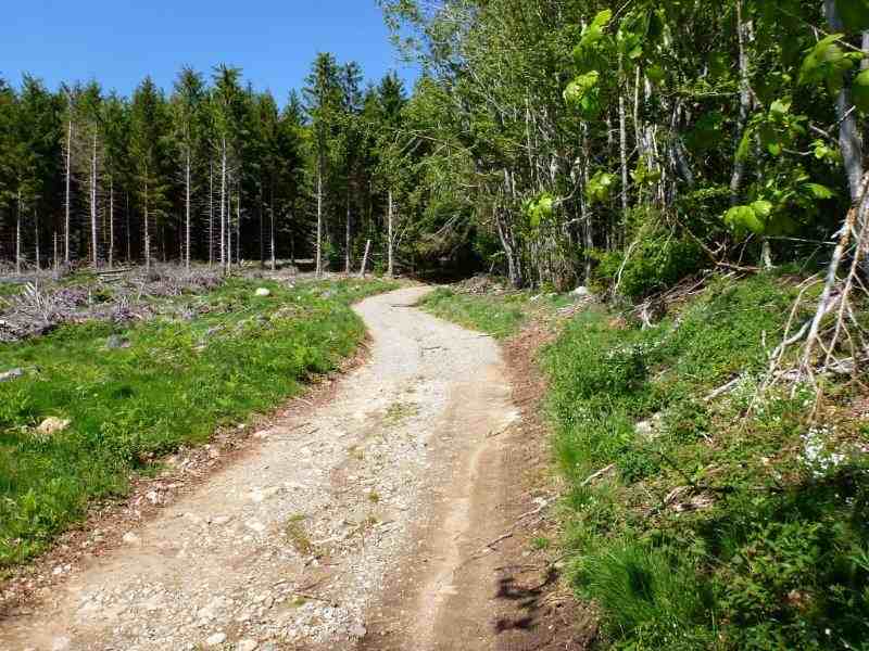 Agrandir l'image En direction du Pas de la Clède