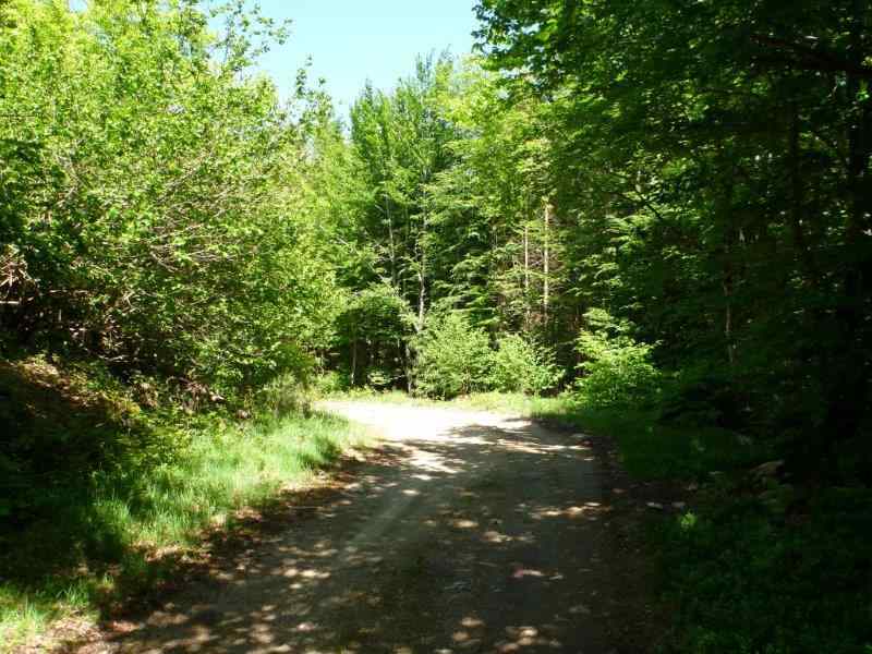 Agrandir l'image En direction du Pas de la Clède