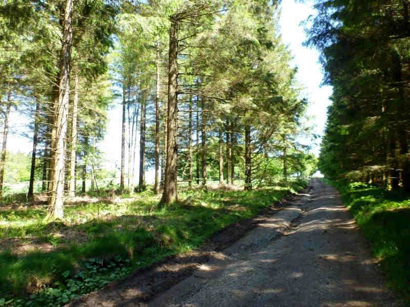 Agrandir l'image En direction du Pas de la Clède