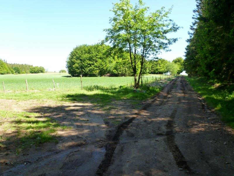 Agrandir l'image En direction du Pas de la Clède