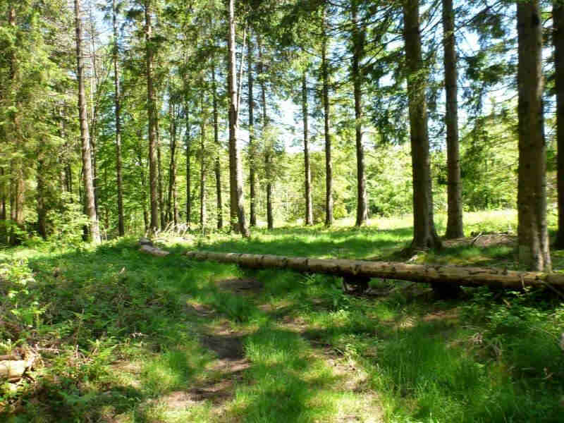 Agrandir l'image En direction du Pas de la Clède