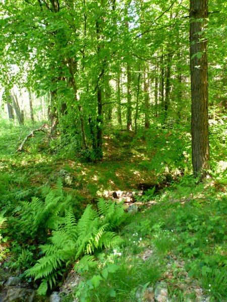 Agrandir l'image En direction du Pas de la Clède