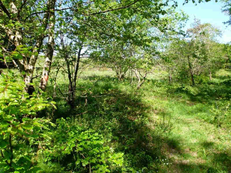 Agrandir l'image En direction du Pas de la Clède