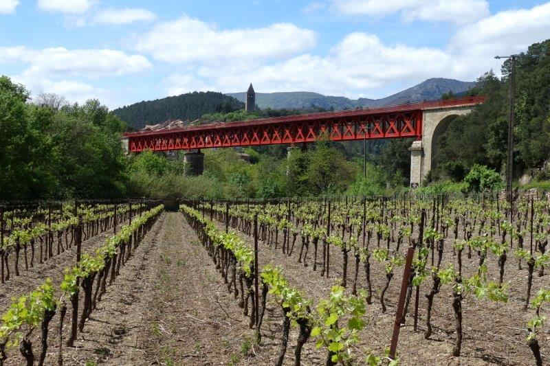 Agrandir l'image De la gare de Mons-la-Trivalle à la halte de Colombières-sur-Orb
