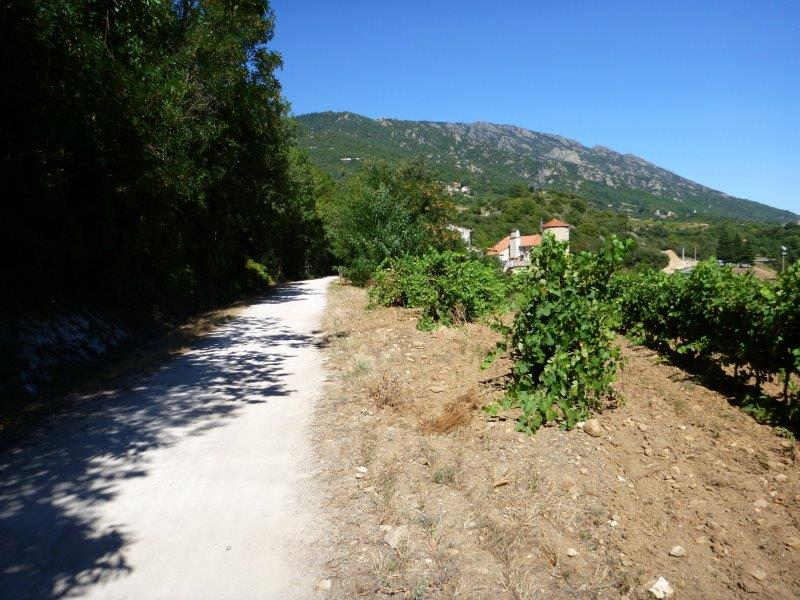 Agrandir l'image De la gare de Mons-la-Trivalle à la halte de Colombières-sur-Orb