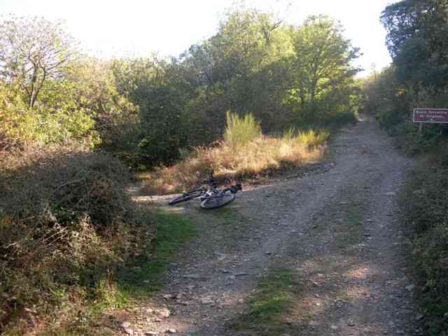 Embranchement de la piste du Col de Triby