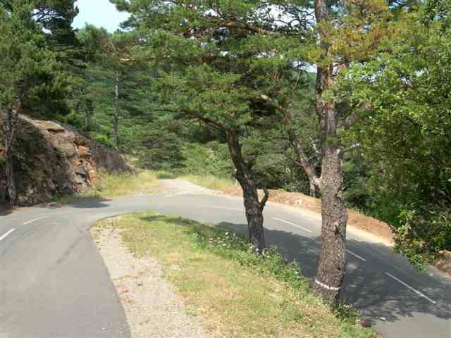 Agrandir l'image Embranchement vers le col du Triby