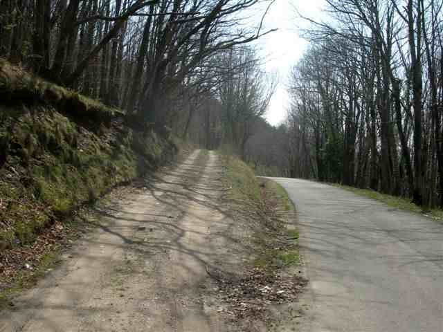Agrandir l'image Embranchement du chemin du Col des 7 Frères