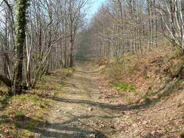 Agrandir l'image En direction du Col des Comayres