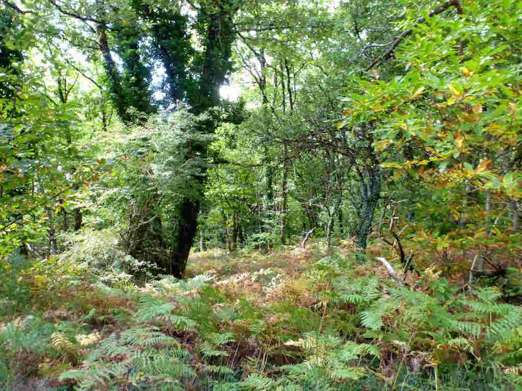 Agrandir l'image Col des Comayres