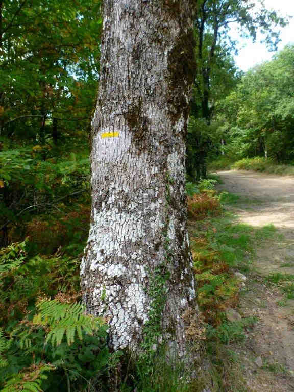 Agrandir l'image PR au Col des Comayres