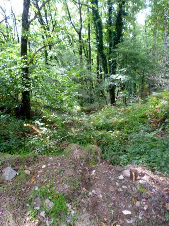 Agrandir l'image Col des Comayres