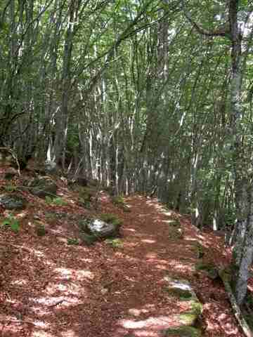 Agrandir l'image Sentier en direction de la Passe de Roland