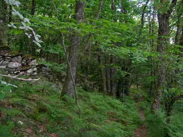 Agrandir l'image Sentier en direction de la Passe de Roland