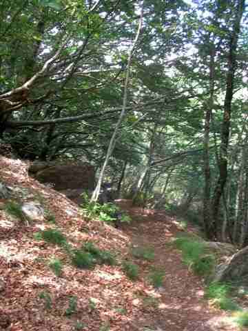 Agrandir l'image Epingle sur le sentier en direction de la Passe de Roland
