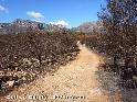 Agrandir l'image Coll de Diamà - ES-T-297 mètres