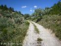 Coll de la Figuerosa - ES-T-348 mtres