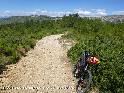 Coll de la Mola - ES-T-237 mtres