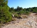 Coll de la Granada - ES-T-200 mtres