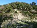 Coll de la Tour - FR-66-0323