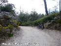 Pas de Porte - FR-13-0387