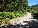 Col de la Bastide - FR-34-0978