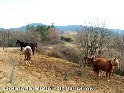 Col de la Molle - FR-34-0340