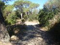 Agrandir l'image Coll del Bosc de Manolo - ES-T-0585