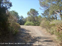 Agrandir l'image Coll del Bosc de Manolo - ES-T-0585
