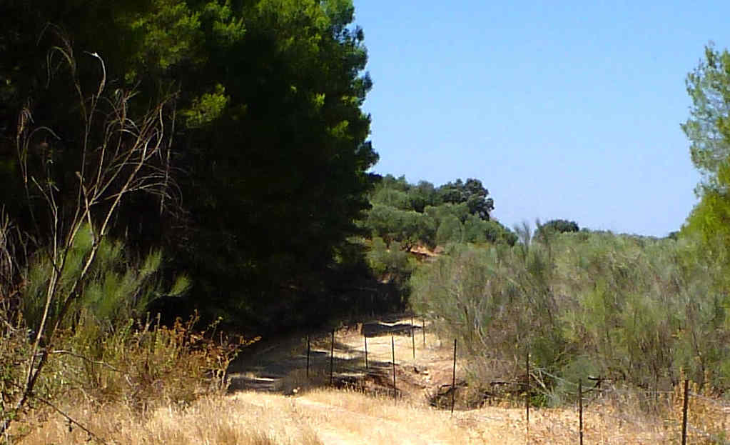 De la gare de Beas de Segura à la gare de Guadahornillos