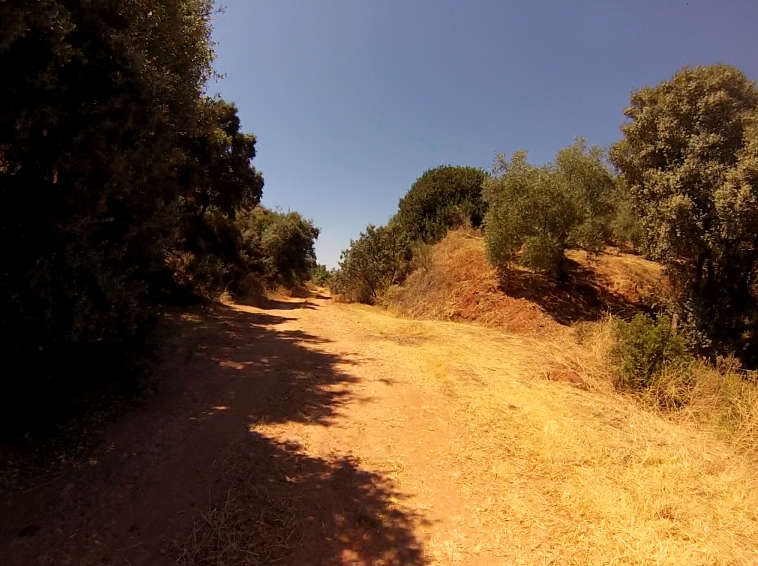 De la gare de Beas de Segura à la gare de Guadahornillos