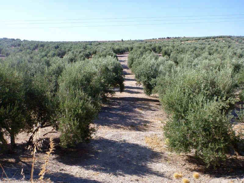 De la gare de Villacarrillo à la gare de Cabezas Altas