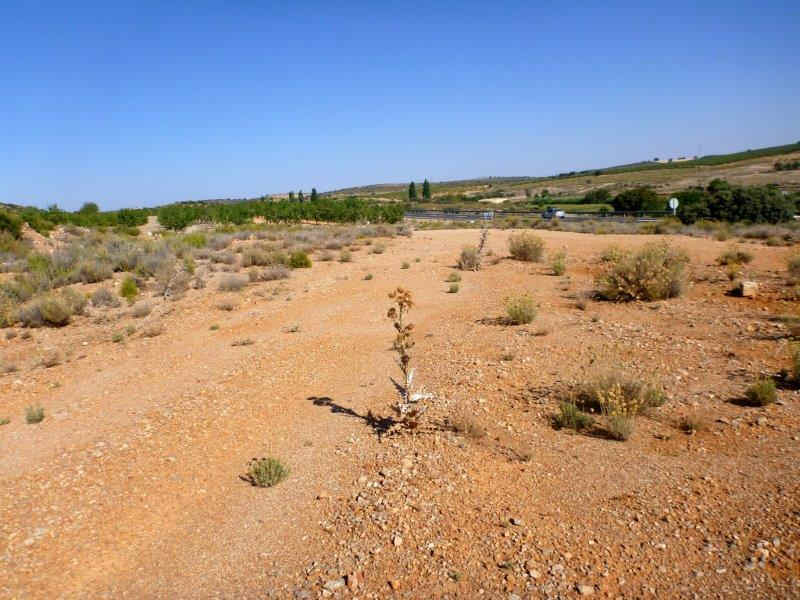 Agrandir l'image De la Estación de Balazote à la Estación La Rambla