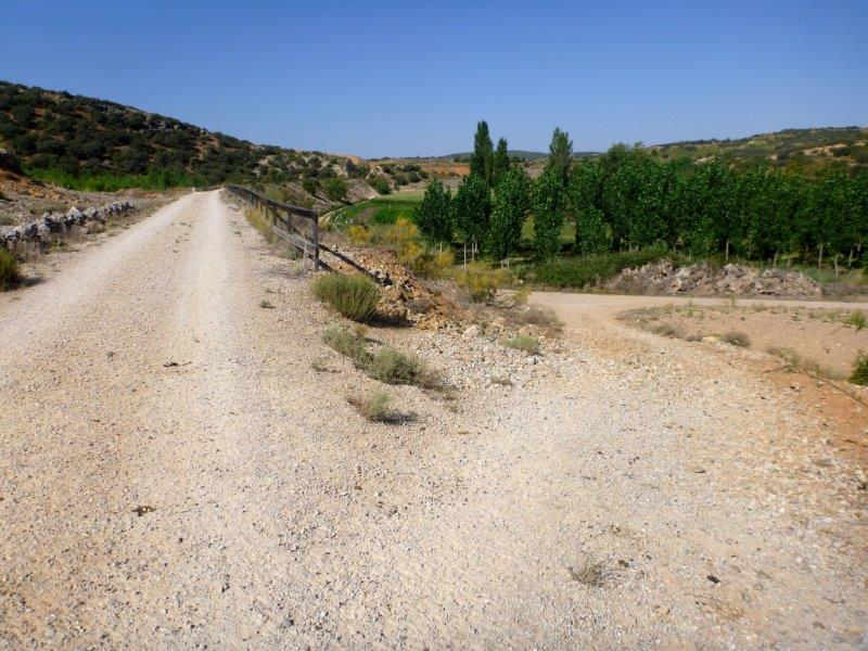 Agrandir l'image Actuel "Camino del Cuco"