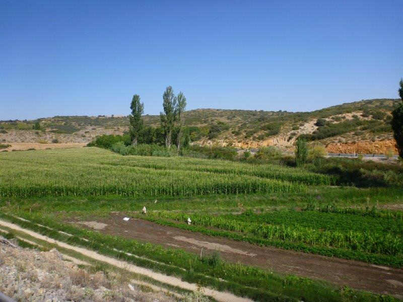 Agrandir l'image N-322 qui méandre en parallèle du Río del Jardín