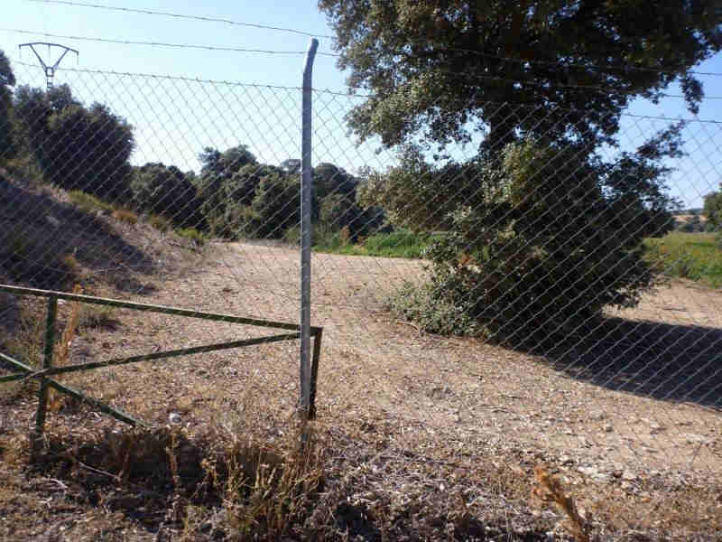 Agrandir l'image De la Estación de Balazote à la Estación La Rambla