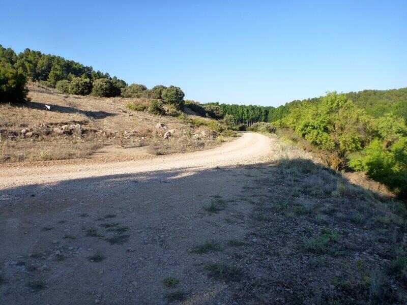 Agrandir l'image De la Estación de Balazote à la Estación La Rambla