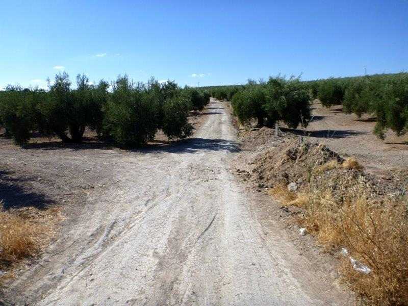 En direction du Portillo de la Campanera