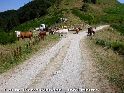 Col de Pierre Blanche - FR-09-1551