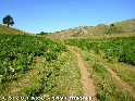 Agrandir l'image Col du Fajou - FR-09-1494