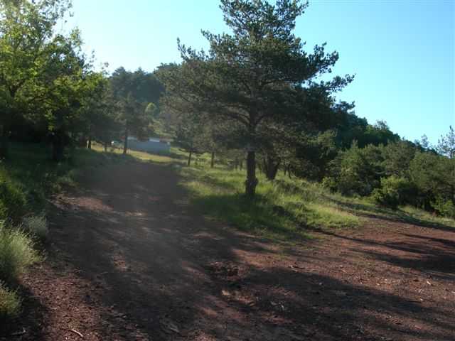 Agrandir l'image Chemin vers Coll de Serafi