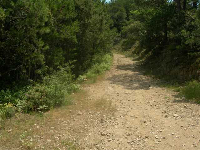 Agrandir l'image Chemin de Rojals