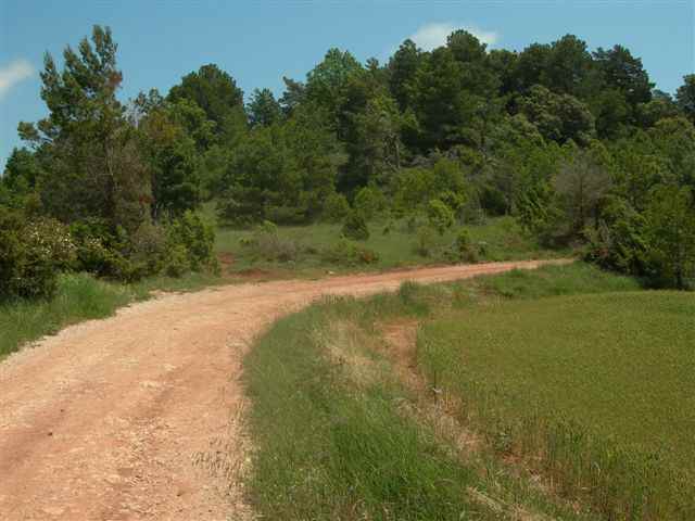 Agrandir l'image Chemin à l'approche de Rojals